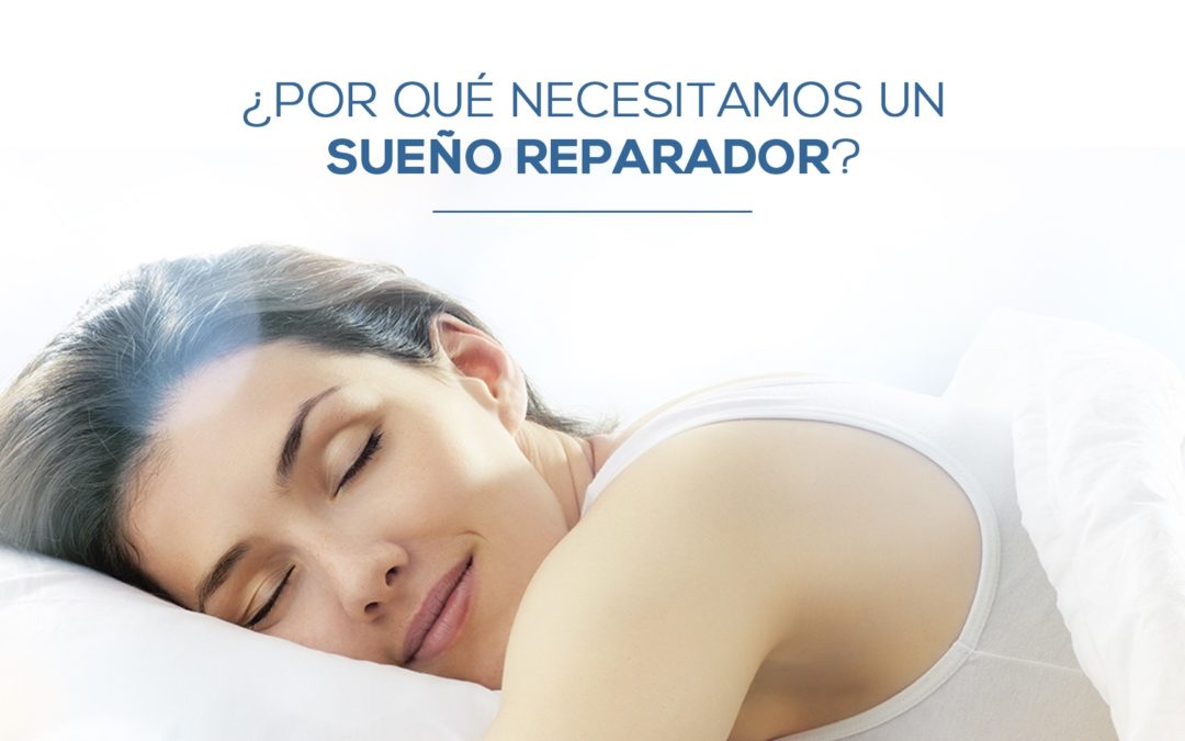 ¿Por Qué Necesitamos Un Sueño Reparador?