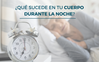 ¿Qué sucede en tu cuerpo durante la noche?